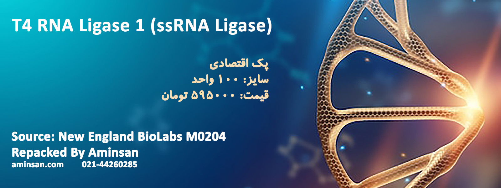 t4-ligase