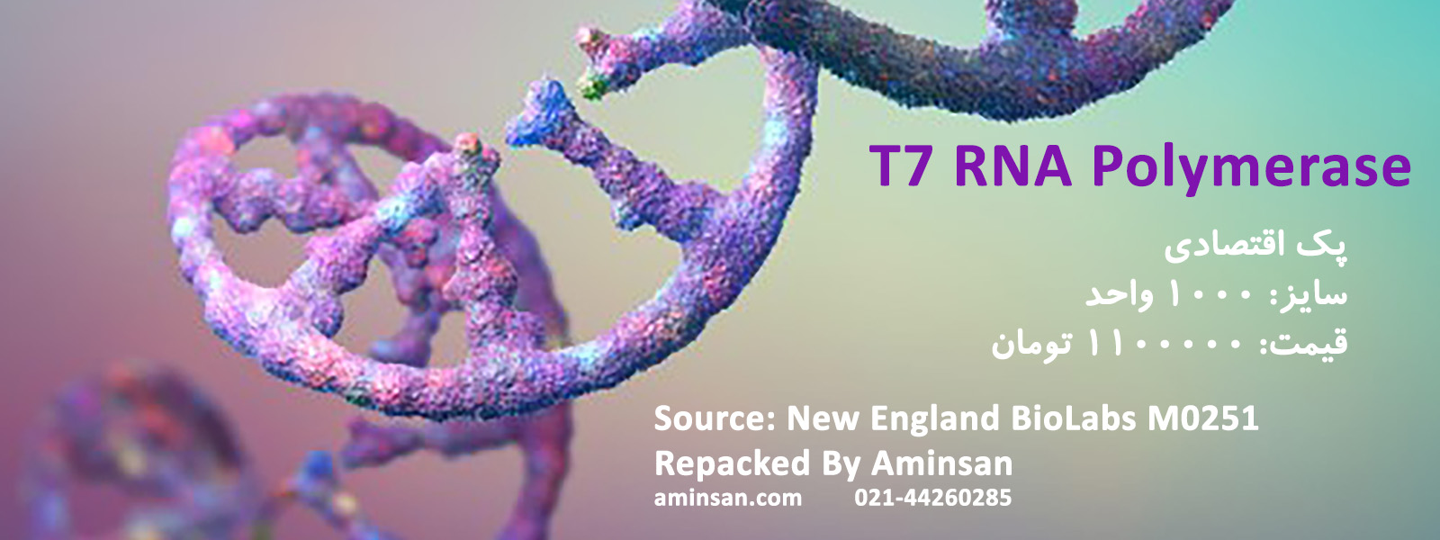 t7-pol